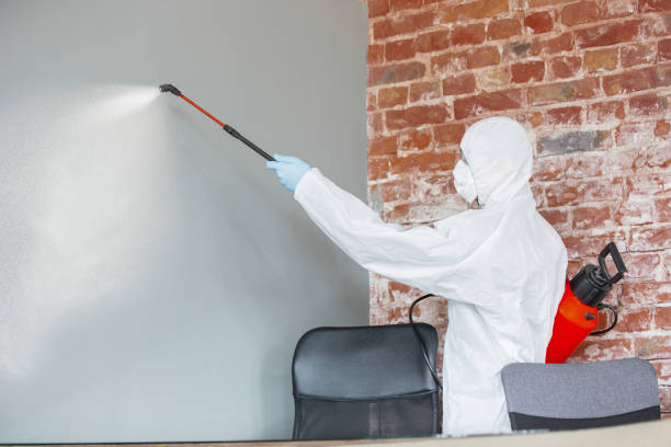 Best Commercial Mold Inspection  in Cave City, KY
