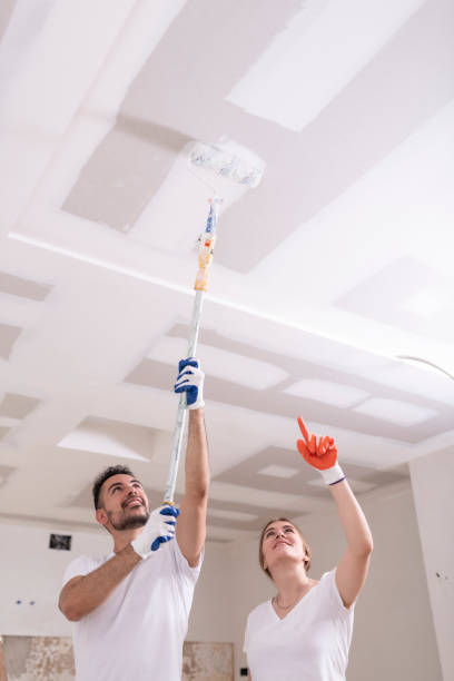 Best Mold Odor Removal Services  in Cave City, KY