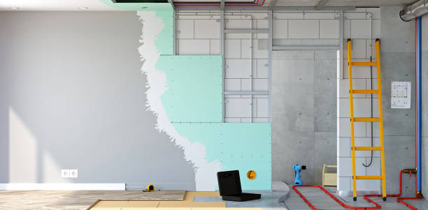 Best Commercial Mold Inspection  in Cave City, KY
