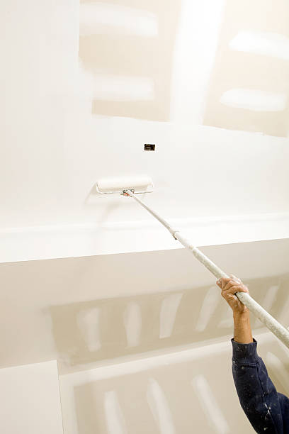 Cave City, KY Mold Removal Company