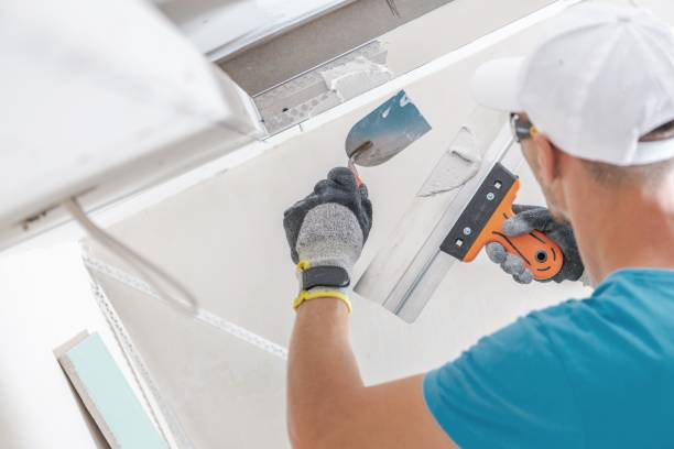 Mold Odor Removal Services in Cave City, KY